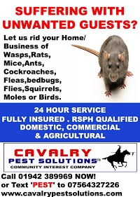 Cavalry Pest Solutions 374932 Image 9